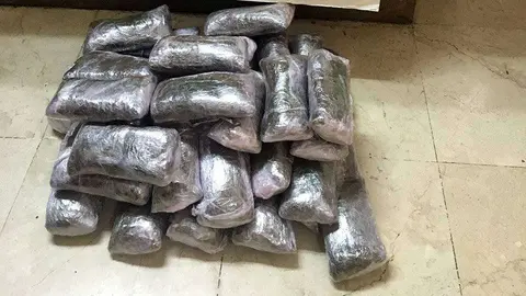 POLICIA LOCAL droga hach&iacute;s 10 kilos