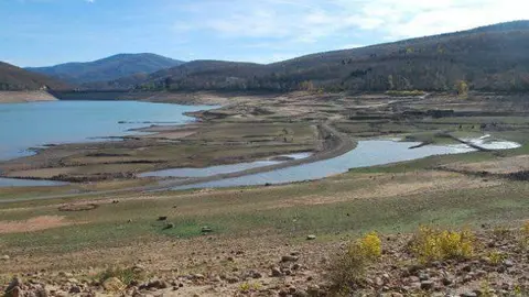 pantano