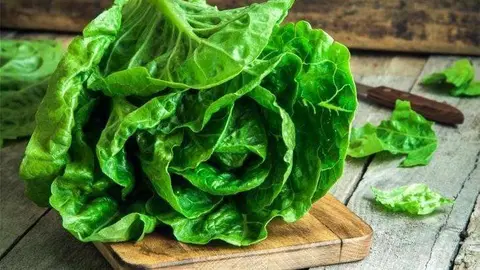 Lechuga. / BuenaVida.pr