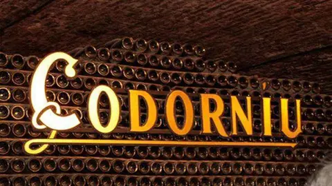Codorn&iacute;u./ tierranuestra.es