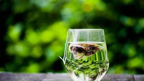 T&eacute; verde./ Pixabay