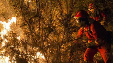 Bomberos sofocando los incendios en Galicia. Twitter.
