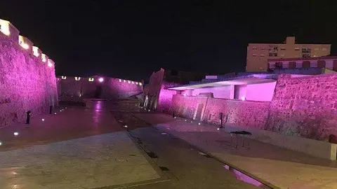 rosa MURALLAS REALES