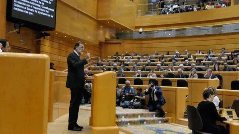 Rajoy, durante su intervenci&oacute;n hoy en el Senado (MONCLOA)