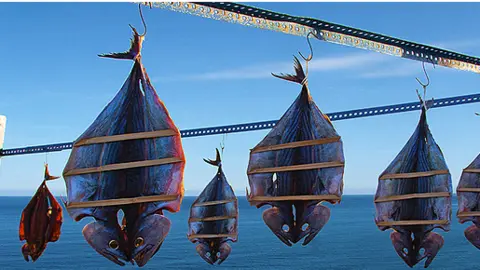 peces