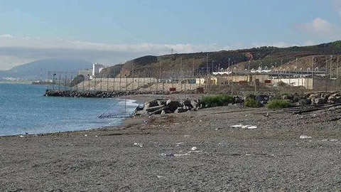 espig&oacute;n