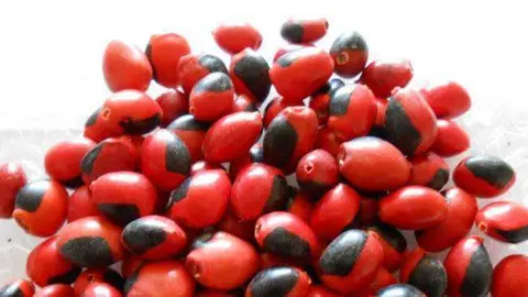pulseras