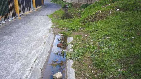 finca guill&eacute;n