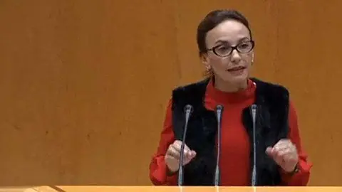 senadora olivia delgado