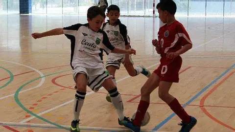 f&uacute;tbol sala