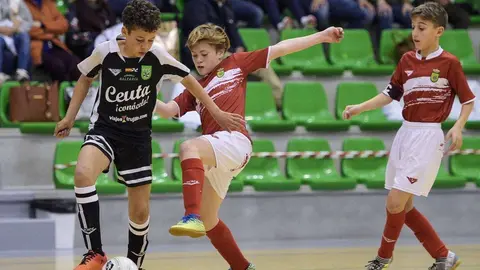 26-04-2018 SantanderFederacion Cantabra Futbol campeonato espa&ntilde;a alevin futbol sala mixto Cantabria vs CeutaFotos: Juan Manuel Serrano Arce