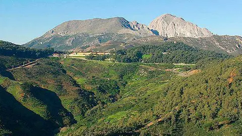 (Cuenca del Arroyo del Renegado (OBIMASA)