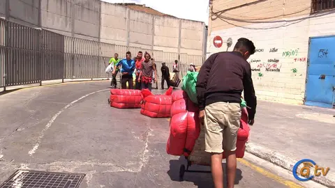 MINIATURA REPOR TARAJAL BILAL DADI