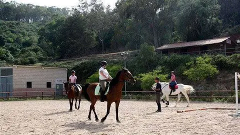 caballos-la-h&iacute;pica