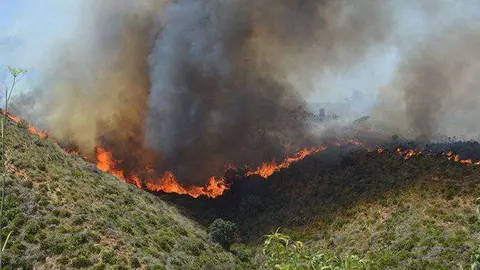incendio-garcia-aldave1