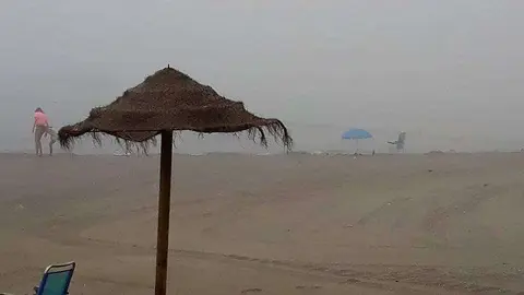 niebla