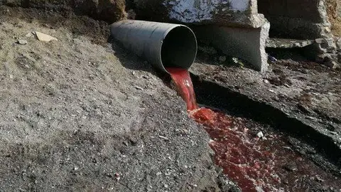 VERTIDO DE SANGRE A LA ALMADRABA