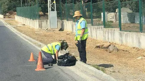 Dos trabajadores limpian un imbornal (CEDIDA)