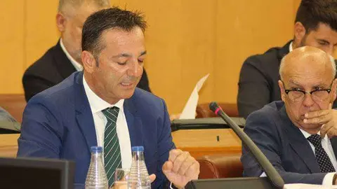 El consejero Fernando Ramos, durante su intervenci&oacute;n en el pleno (C.A.)