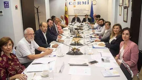 Reuni&oacute;n del jurado, celebrada ayer lunes en Madrid (CERMI)