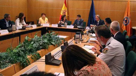 Un momento de la reuni&oacute;n del Comit&eacute; Estatal celebrado hoy (CEDIDA)