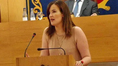 Daoud interviene en un pleno de la Asamblea (C.A./ARCHIVO)