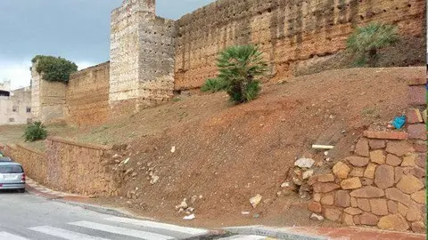 Aspecto de las Murallas Merin&iacute;es (CEDIDA)