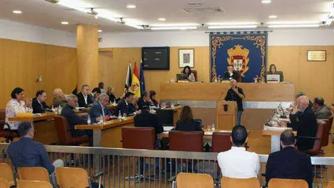 Un momento del pleno celebrado esta ma&ntilde;ana (C.A.)