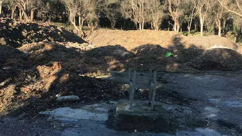 Acumulaci&oacute;n de algas denunciada por el PSOE (CEDIDA)