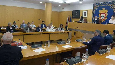 Imagen de la &uacute;ltima sesi&oacute;n plenaria de la Asamblea, celebrada hoy (CEDIDA)