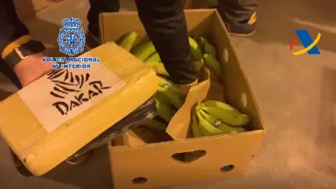 bananas