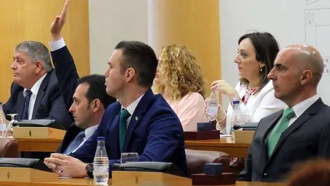 El diputado de Vox, Juan Sergio Redondo, con el brazo alzado, durante el pleno de investidura celebrado el pasado d&iacute;a 15 (C.A.)