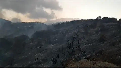 fuego