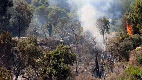 Bomberos trabajan en la extinci&oacute;n del incendio (C.A./ARCHIVO) Calamocarro 6 de agosto