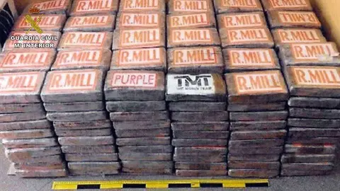 Coca&iacute;na incautada por la Guardia Civil (MINISTERIO DEL INTERIOR)