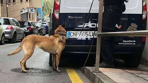 perro polic&iacute;a