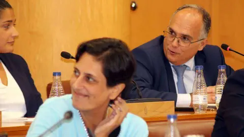 El consejero de Econom&iacute;a y Hacienda, Alberto Gait&aacute;n, durante su intervenci&oacute;n en el pleno (C.A.)
