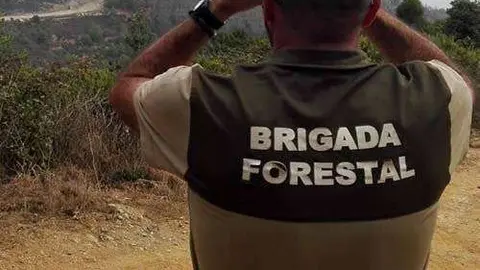Un guarda forestal vigila una zona de monte (C.A.)