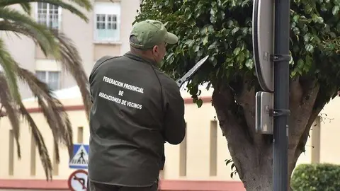Un operario de las Brigadas Verdes durante unas tareas de poda (C.A./ARCHIVO)