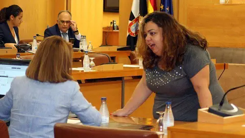 La socialista Cristina P&eacute;rez, antes del comienzo de una sesi&oacute;n plenaria de la Asamblea (C.A./ARCHIVO)