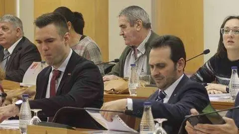 VOX VERDEJO REDONDO