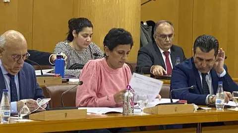 Miembros del grupo popular en la Asamblea (C.A.)