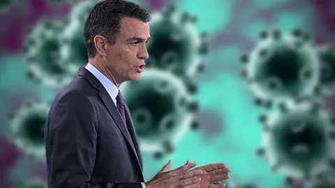 78445_sanchez_coronavirus