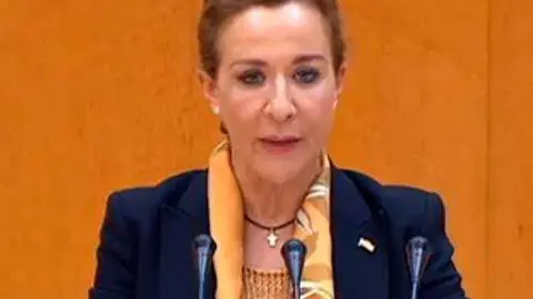 Merelo, durante su primera intervenci&oacute;n en el Senado (SENADO)
