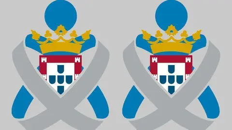 colegio de enfermer&iacute;a logo