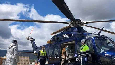 H&Eacute;LITY HELIC&Oacute;PTERO