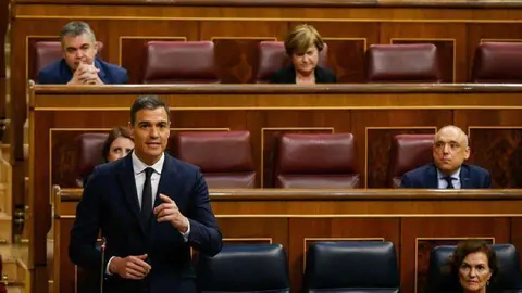 S&aacute;nchez, durante su intervenci&oacute;n hoy en la C&aacute;mara Baja (CONGRESO)