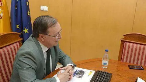 Vivas, durante la reuni&oacute;n telem&aacute;tica mantenida con el ministro Campo (CEDIDA)