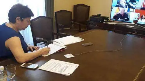 Un momento de la reuni&oacute;n telem&aacute;tica celebrada hoy (CEDIDA)