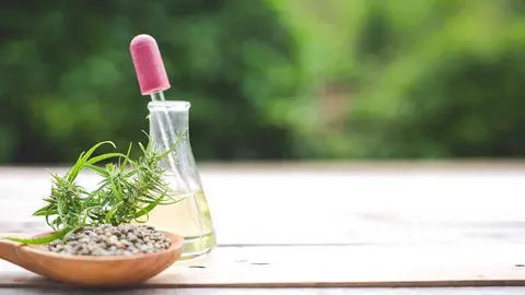 Conoce los beneficios de comer semillas de cannabis